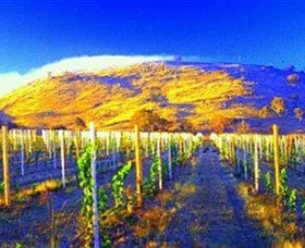 Surveyors Hill Winery - Sydneys Hotel 0