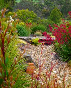 Ungulla Country Garden - Sydneys Hotel 1