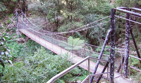 Jenolan River Walking Track - Sydneys Hotel 0