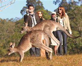 Boutique Tours Australia - Sydneys Hotel 2