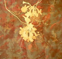 Fellia Melas Gallery - Sydneys Hotel
