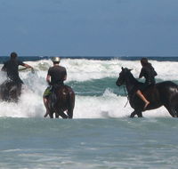Pegasus Park Equestrian Centre - Sydneys Hotel