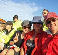 Byron Bay Whale Watching - Sydneys Hotel