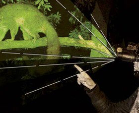 After Dark Nature Tours - Sydneys Hotel 0