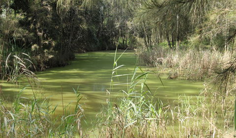 Second Ponds Creek Walk - Sydneys Hotel 0
