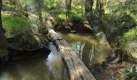 Second Ponds Creek Walk - Sydneys Hotel 2