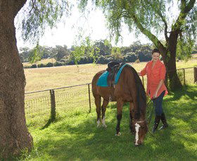 Sugarloaf Horse Centre