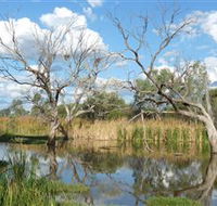 Lagoon Creek - Sydneys Hotel