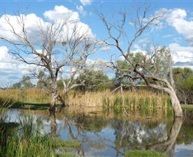 Lagoon Creek - Sydneys Hotel 0