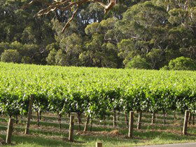 Top Note Vineyard - Sydneys Hotel 2