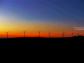 Starfish Hill Windfarm - Sydneys Hotel 0