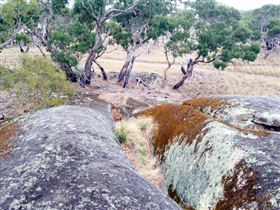 Tolmer Rocks - Sydneys Hotel 1