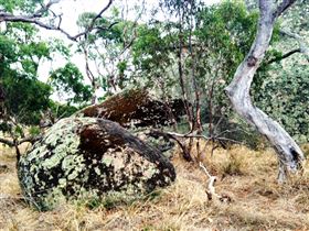 Tolmer Rocks - Sydneys Hotel 2