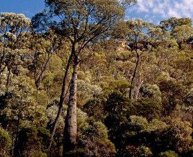 Ka Ka Mundi, Carnarvon National Park - Sydneys Hotel 0