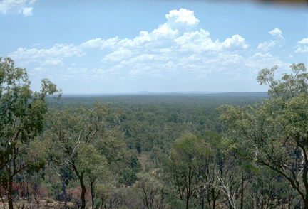 Ka Ka Mundi, Carnarvon National Park - Sydneys Hotel 1