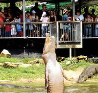 Crocodylus Park - Sydneys Hotel