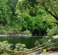 Broadwater Abergowrie State Forest - Sydneys Hotel