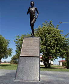 Railway Park Dirranbandi - Sydneys Hotel 1