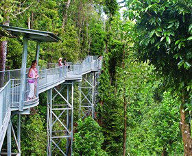 Mamu Tropical Skywalk - Sydneys Hotel 0