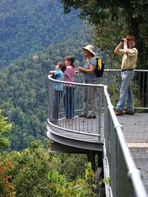 Mamu Tropical Skywalk - Sydneys Hotel 2
