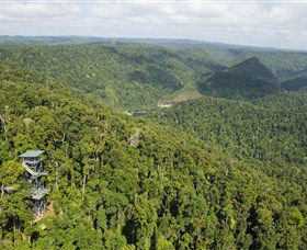 Mamu Tropical Skywalk - Sydneys Hotel 3