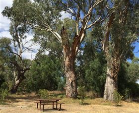 Bob Christensen Reserve - Sydneys Hotel 2