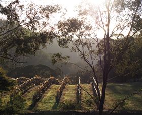 Mountainside Wines - Sydneys Hotel 3