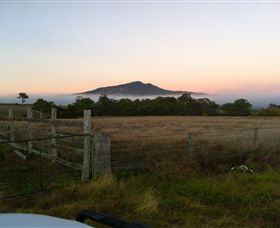 Mountainside Wines - Sydneys Hotel 2