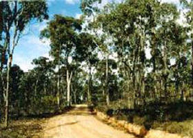 Paddys Ranges State Park - Sydneys Hotel 0