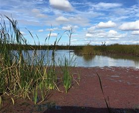 Gwydir Wetlands - Sydneys Hotel 0