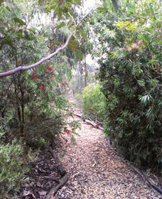 Timandra By The Sea - Sydneys Hotel 8