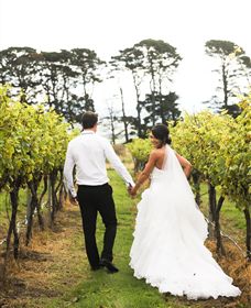 Quoin Hill Vineyard - Sydneys Hotel 2