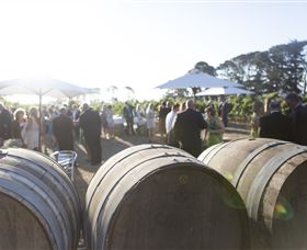 Quoin Hill Vineyard - Sydneys Hotel 6