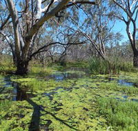 Macquarie Valley Trails - Sydneys Hotel
