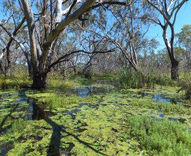 Macquarie Valley Trails - Sydneys Hotel 0