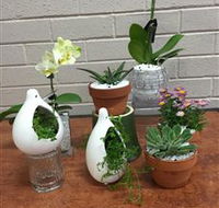 Cobram Florist - Sydneys Hotel