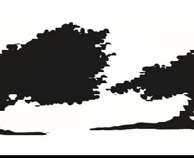 Ariah Park 1920s Heritage Village - Sydneys Hotel 3