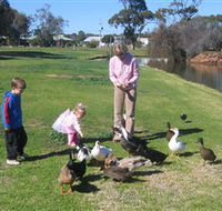 Roy Little Park Merredin - Sydneys Hotel