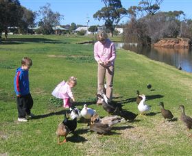 Roy Little Park Merredin - Sydneys Hotel 0