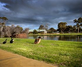 Roy Little Park Merredin - Sydneys Hotel 2