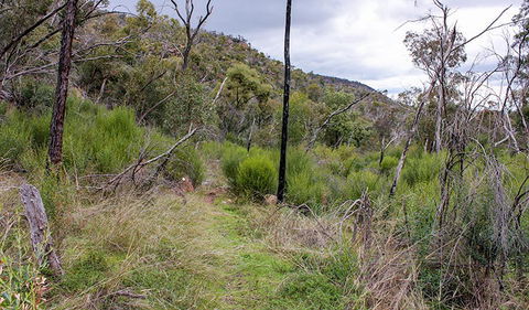Lynchs Loop Trail - Sydneys Hotel 0