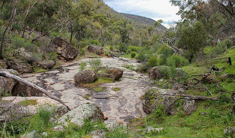 Lynchs Loop Trail - Sydneys Hotel 1