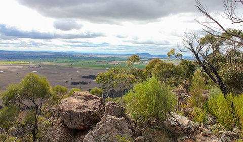 Lynchs Loop Trail - Sydneys Hotel 3