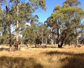 Paramoor Winery - Sydneys Hotel 4