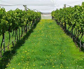 Paramoor Winery - Sydneys Hotel 6