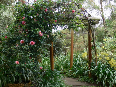 Timandra By The Sea - Sydneys Hotel 9