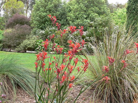 Timandra By The Sea - Sydneys Hotel 11