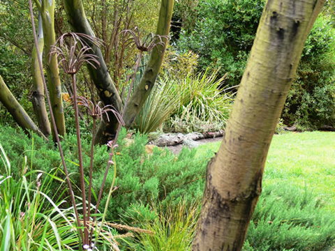 Timandra By The Sea - Sydneys Hotel 12