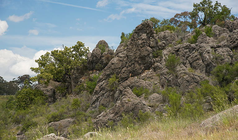 Lidster NSW Sydneys Hotel