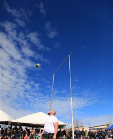 Amulet Vineyard And Beechworth Cider - Sydneys Hotel 6